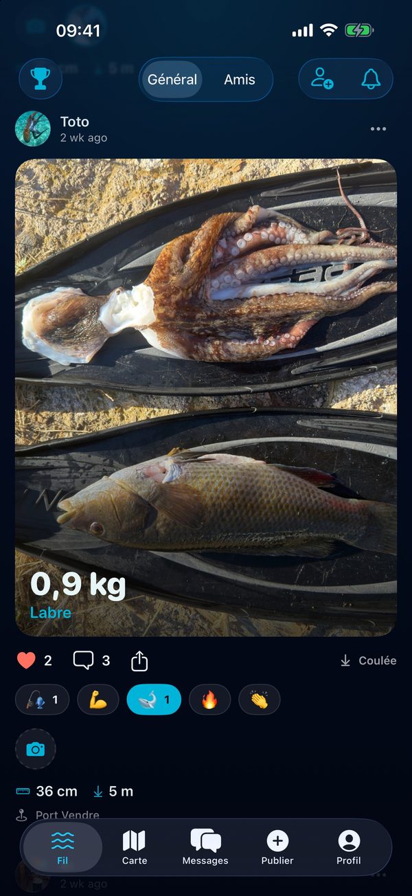 Capture d'écran BeFish : Fil des prises